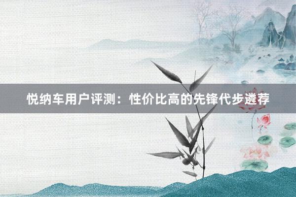 悦纳车用户评测：性价比高的先锋代步遴荐